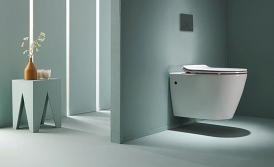 The Ultimate Guide for Selecting a Ceramic Toilet
